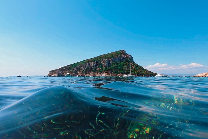 Kayak tour with aperitif and dolphins - How the 3 Hours Actually Feel: Small Groups, Fast Start, Solid Rhythm