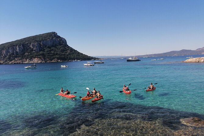 Kayak tour with aperitif and dolphins - Price and Value: Is $54.42 Fair for Kayak, Snorkel, and Aperitif?