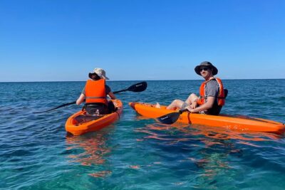 Kayak Tour with Local Guide - Price and value: is $86.74 worth it for three hours?