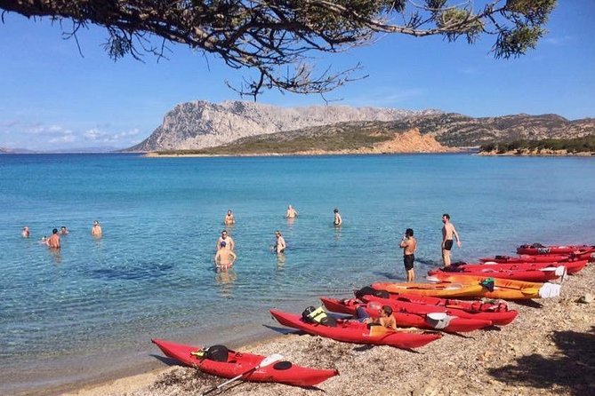 Kayak Tour with Snorkeling and Local Aperitif - Stop 2: Spiaggia Capo Coda Cavallo (The Aperitif Break That Breaks Up the Work)