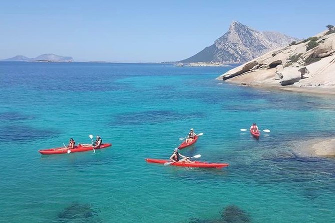 Kayak Tour with Snorkeling and Local Aperitif - Snorkeling Gear and What You’ll See in the Cave Stop