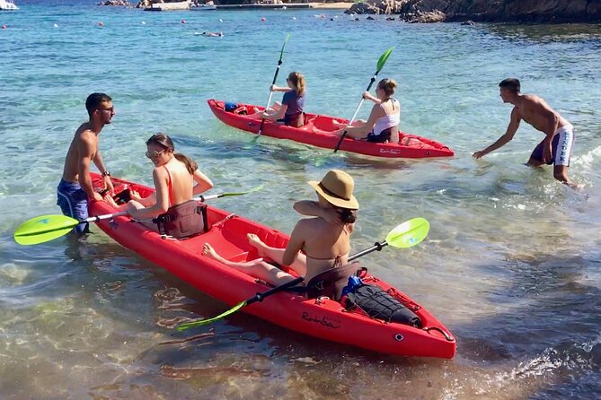 Kayak Tour with Snorkeling and Local Aperitif - Wildlife-Lover Bonus: Birds, Dolphins, and a Living Coastline
