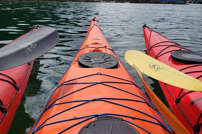 Kayak Tours - Where the Paddle Starts: Icy Strait Point to Hoonah’s Harbor Line