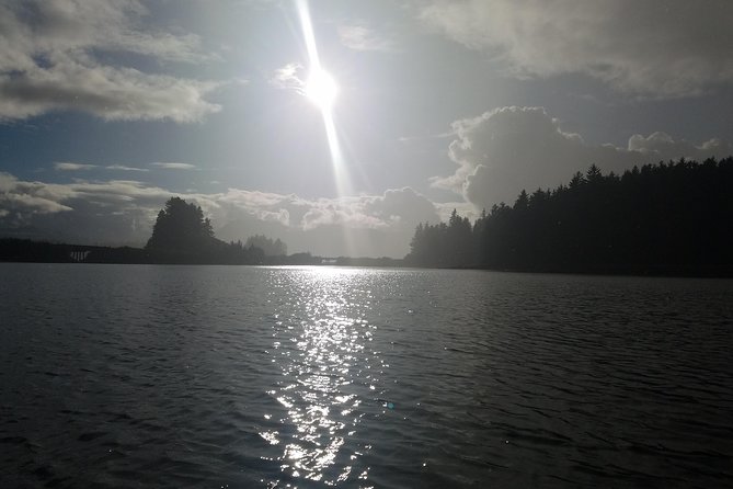 Kayak Tours - The Route in Plain English: Shoreline Paddling Toward an Old Logging Camp