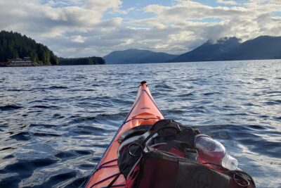 Kayak Tours - Wildlife Chances in Hoonah: Whales, Eagles, Salmon, and the Small Stuff Too