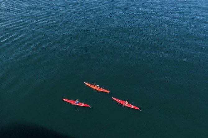 Kayak Tours - Who This Kayak Tour Suits Best (and Who Might Want to Pass)