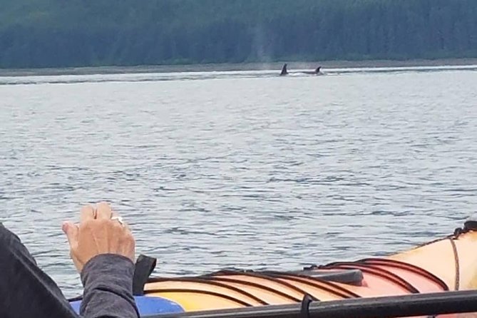 Kayak Tours - FAQ