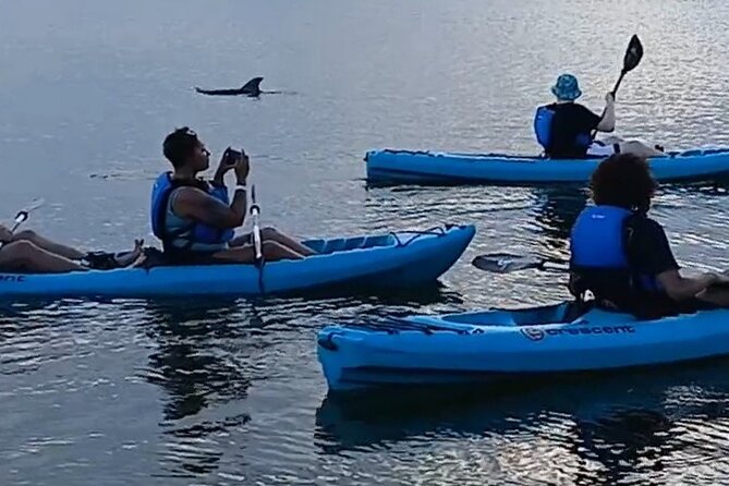 Kayak Tours and Rentals. Dolphins, Manatees, and Bioluminescence! - Getting to the water: Kiwanis Island Park makes it straightforward