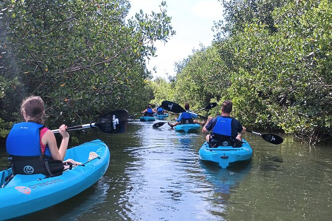 Kayak Tours and Rentals. Dolphins, Manatees, and Bioluminescence! - 2 hours on the lagoon: what the flow feels like