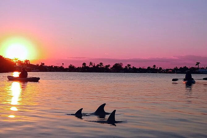 Kayak Tours and Rentals. Dolphins, Manatees, and Bioluminescence! - Night bioluminescence: May–August is your window