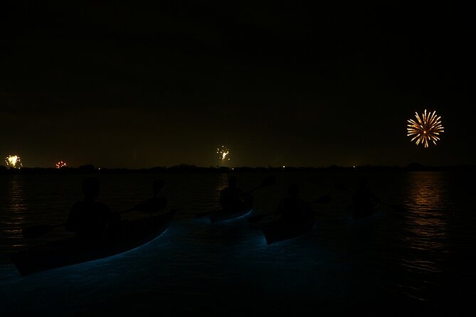 Kayak Tours and Rentals. Dolphins, Manatees, and Bioluminescence! - How the guide education makes this tour better than a basic paddle
