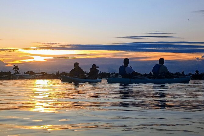 Kayak Tours and Rentals. Dolphins, Manatees, and Bioluminescence! - Price and value: is $55 for 2 hours a fair deal?