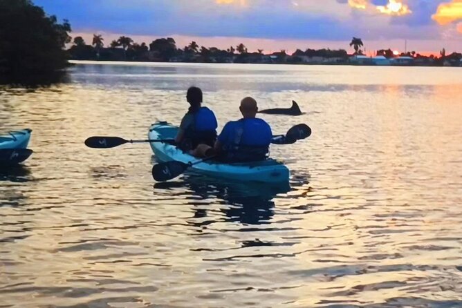 Kayak Tours and Rentals. Dolphins, Manatees, and Bioluminescence! - What you actually get on tour: kayak, vest, water, and bug spray
