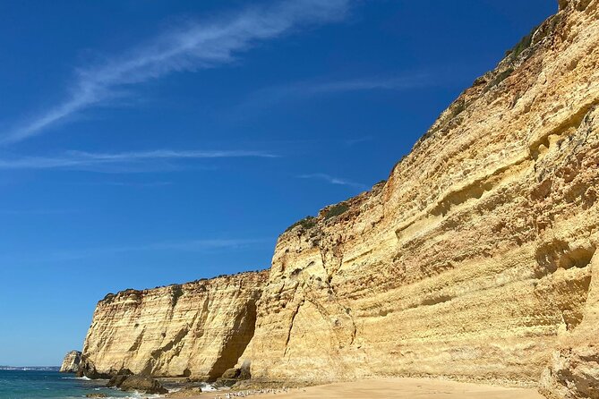 Kayak Tours with Amazing Caves, sea life and Marine Biologist . - Key Highlights You’ll Care About