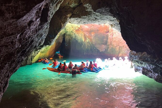 Kayak Tours with Amazing Caves, sea life and Marine Biologist . - Price and Value: Is $36.28 Really Good for This?
