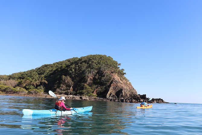 Kayak Turtle Tour from Palm Cove - Key things to know before you paddle