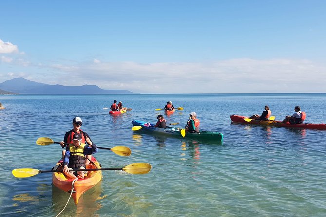 Kayak Turtle Tour from Palm Cove - Why this sunrise kayak works in Palm Cove