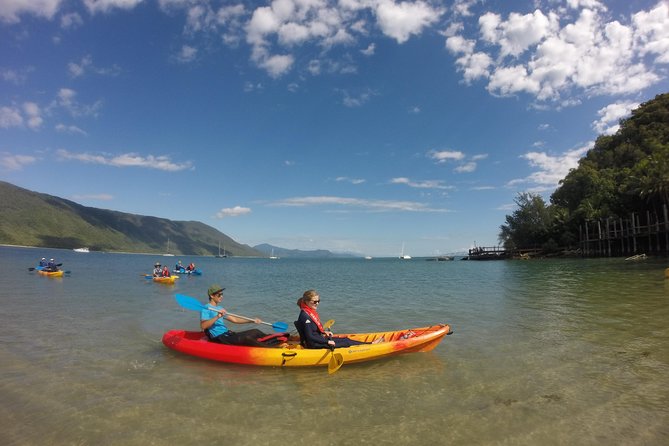 Kayak Turtle Tour from Palm Cove - Double Island turtle spot: why you go first