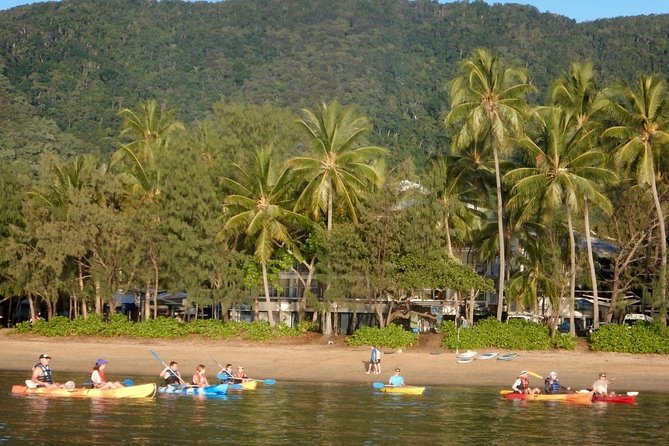 Kayak Turtle Tour from Palm Cove - Mangroves and caves: how tides and wind shape the trip