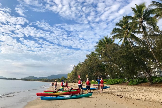 Kayak Turtle Tour from Palm Cove - A beach swim and snorkel stop on the reef fringe
