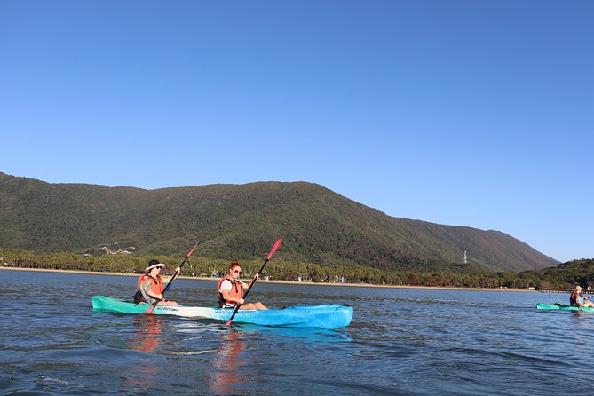 Kayak Turtle Tour from Palm Cove - Price and value: $85.35 for a guided reef-adjacent adventure
