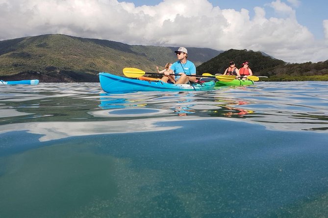 Kayak Turtle Tour from Palm Cove - From Williams Esplanade to the reef fringe in 4 hours