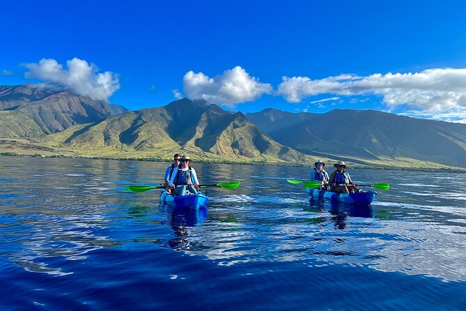 Kayak & Turtle Town Snorkel(Turtles Guaranteed) + Whale Watching - Key things I’d circle before you go