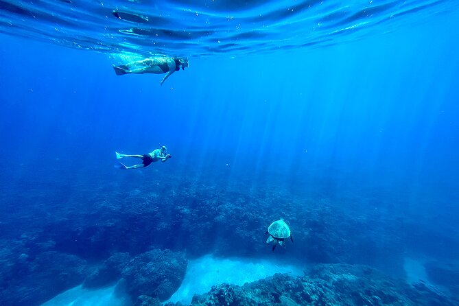 Kayak & Turtle Town Snorkel(Turtles Guaranteed) + Whale Watching - Kayaking the West Maui coast in tandem: the view is the point