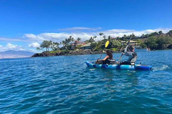 Kayak & Turtle Town Snorkel(Turtles Guaranteed) + Whale Watching - What the guide actually does (and why that changes everything)
