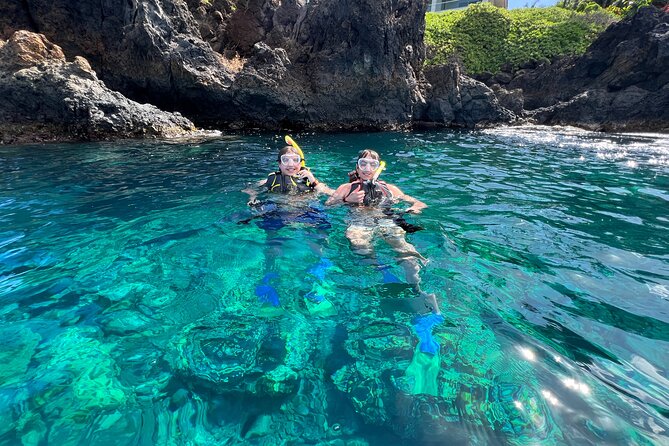 Kayak & Turtle Town Snorkel(Turtles Guaranteed) + Whale Watching - If the ocean cancels you, you won’t be stuck holding the bag