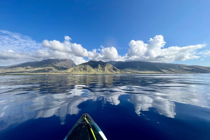 Kayak & Turtle Town Snorkel(Turtles Guaranteed) + Whale Watching - Turtle cleaning station snorkeling: the closest thing to a guaranteed wow