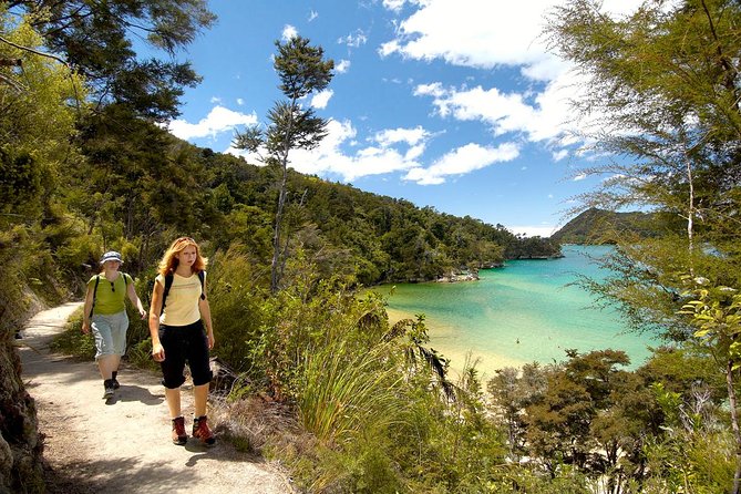 Kayak & Walk - Marahau to Abel Tasman: how this tour strings the day together