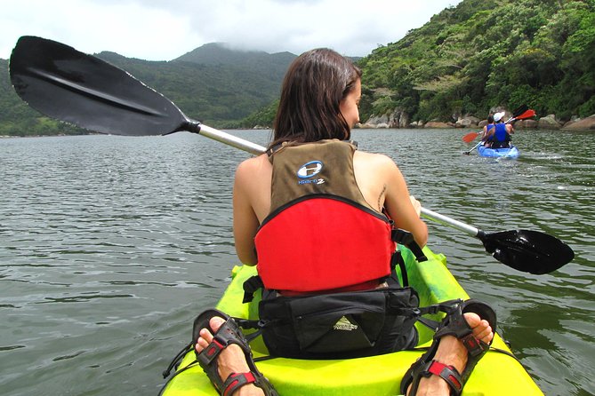 Kayak Water Trail in Red River Park by Adrenailha - Key things to know before you paddle