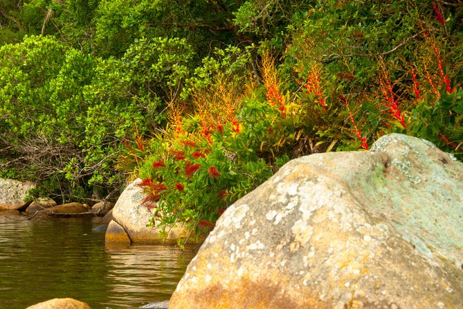 Kayak Water Trail in Red River Park by Adrenailha - Who this kayak water trail suits best