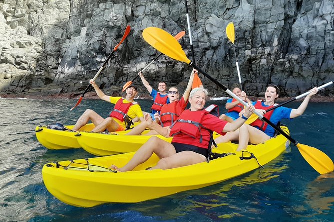 Kayak with Dolphin & Turtle Watching Private Tour - Key highlights to know before you go