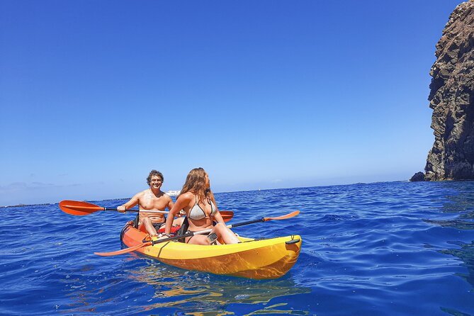Kayak with Dolphin & Turtle Watching Private Tour - Teno Rasca marine strip: where dolphins and turtles become a real possibility
