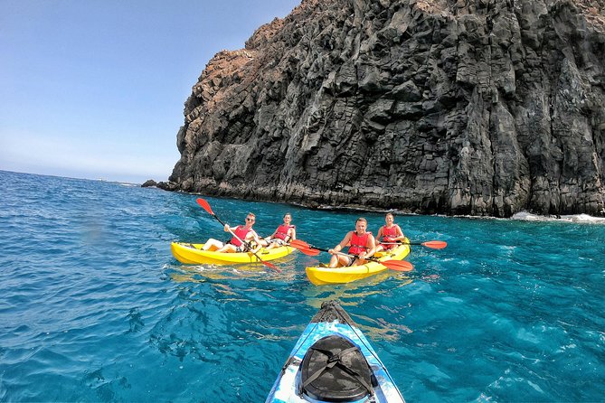 Kayak with Dolphin & Turtle Watching Private Tour - Kayak comfort, snorkeling gear, and the reality of staying together