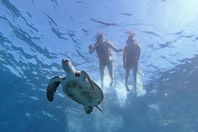 Kayak with Dolphin & Turtle Watching Private Tour - Palmar cave and the cliffs of Guaza: the scenery stop that changes the mood