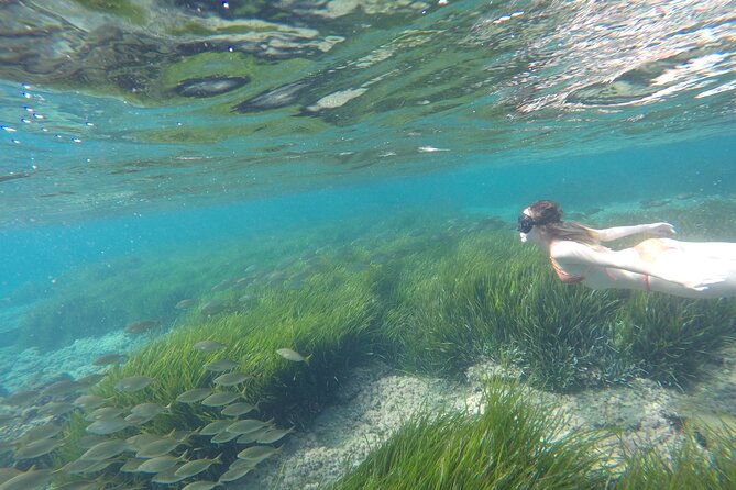 Kayak y snorkell por las mejores calas del Parque Natural Cabo de Gata - Getting oriented: gear, paddling basics, and what you’ll carry