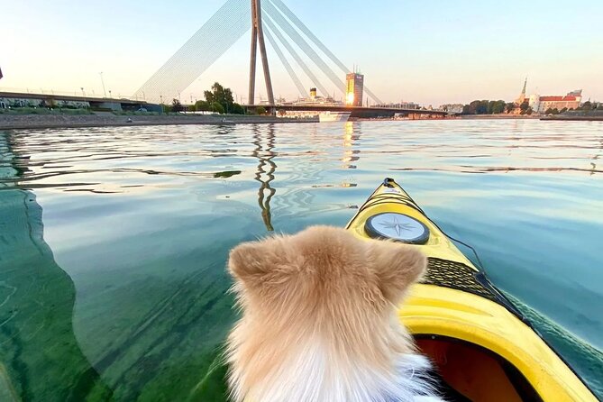 Kayaking Adventure in Riga - Why the price feels fair for what you get