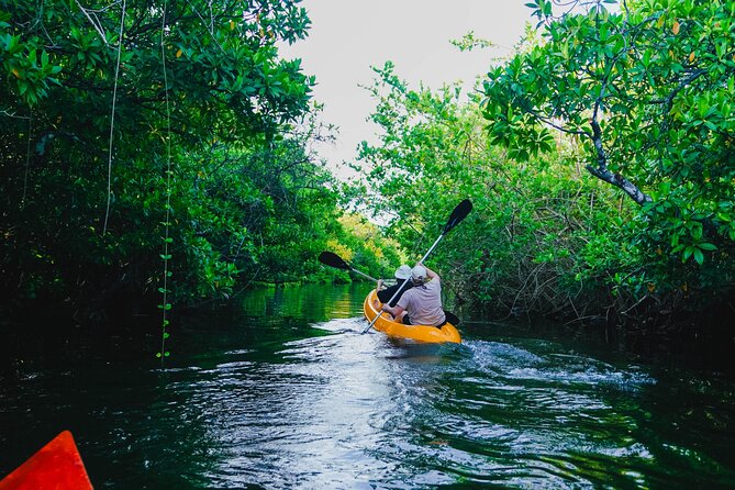 Kayaking Adventure on serene waters through mangroves, Akurala - Key things you’ll care about on this kayak trip