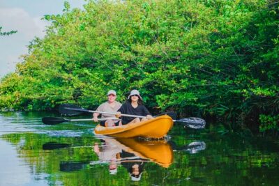 Kayaking Adventure on serene waters through mangroves, Akurala - Your 2-hour kayak plan on serene mangrove waters