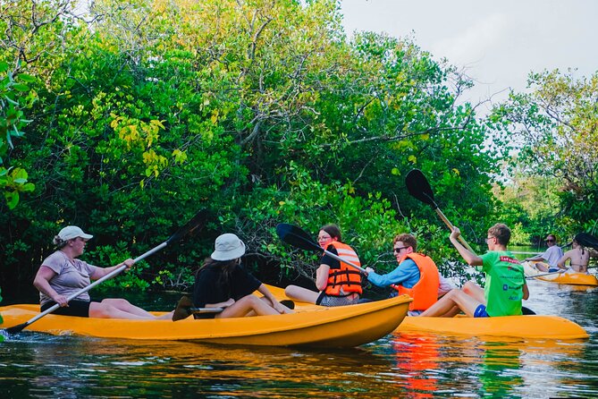 Kayaking Adventure on serene waters through mangroves, Akurala - Price, value, and whether $15 makes sense for your time