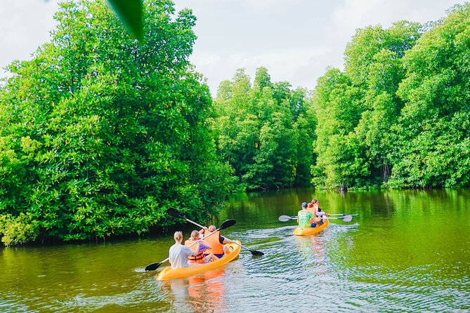 Kayaking Adventure on serene waters through mangroves, Akurala - Who should book this kayaking adventure in Akurala