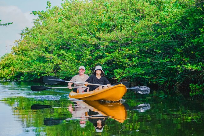 Kayaking Adventure on serene waters through mangroves, Akurala - Your 2-hour kayak plan on serene mangrove waters