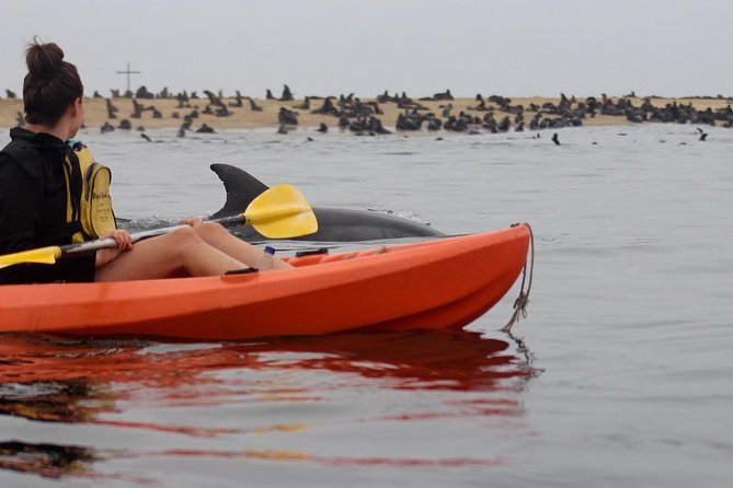 Kayaking and Sandwich Habour Guided Day Tour from Walvis Bay - Pelican Point Peninsula kayaking: dry gear, camera help, and wildlife chances