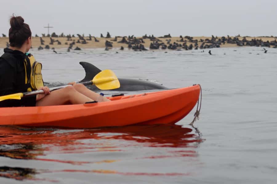 Kayaking and Sandwich Harbour Combo Tour - Key reasons this day is worth your time