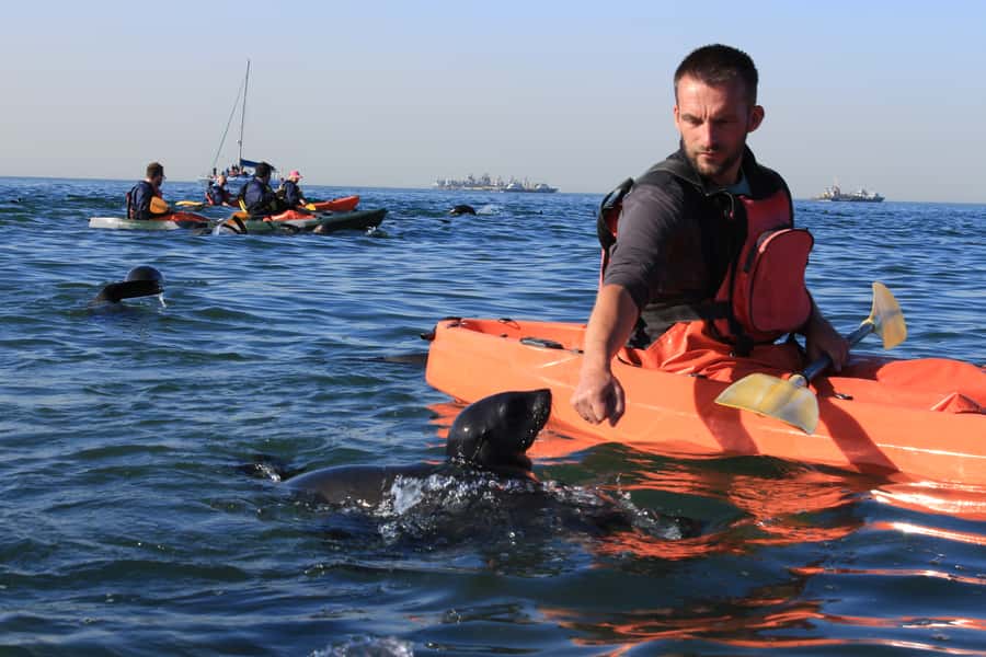 Kayaking and Sandwich Harbour Combo Tour - The Namib Naukluft dune drive: adrenaline with a purpose