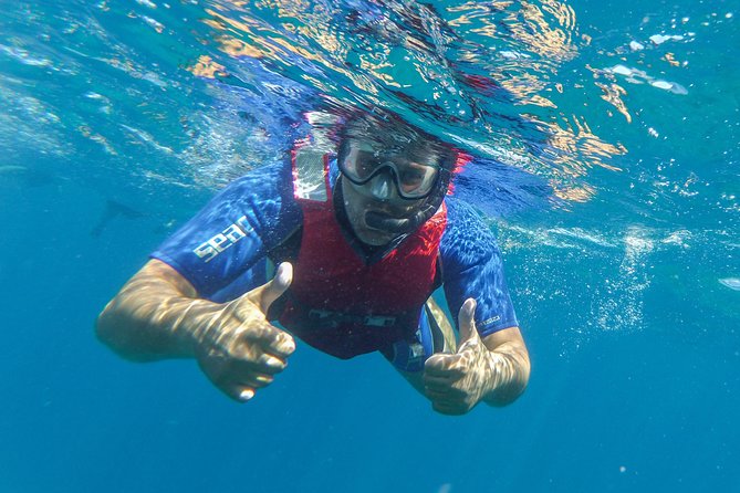 Kayaking and snorkeling - From the beach to picturesque rocks: views plus a controllable effort