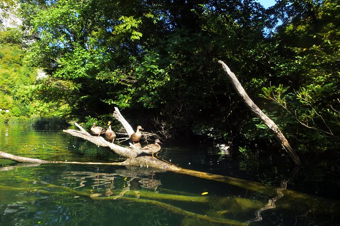 Kayaking and Snorkeling in Omiš - Key Details at a Glance
